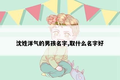 沈姓洋气的男孩名字,取什么名字好